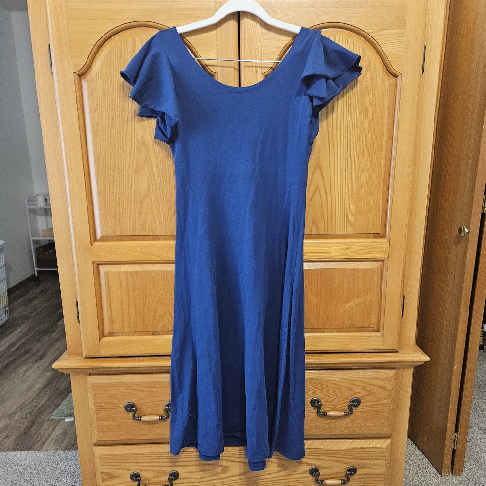 Elegantees Blue Ruffle Sleeve Dress